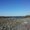 Photo of Image T.