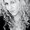 Photo of Shelley R.