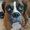 Photo of Juan Carlos D.