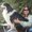 Photo of Angie D.