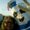 Photo of Lori S.