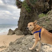 High-Quality 7 Car Wash Sterling Va Artwork Art High-Quality 7 Car Wash Sterling Va Artwork Art