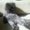 Photo of Consuelo M.