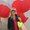 Photo of Ania H.