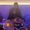 Photo of Kateri
