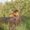 Photo of Me S.