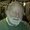 Photo of Jim P.