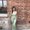 Photo of Valeria D.