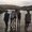 Photo of Cami N.