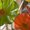 Photo of Nat S.
