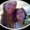Photo of Sheri A.