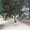 Photo of Roxana G.