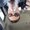 Photo of Chris S.