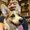 Photo of Kevin K.