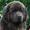Photo of Qype User (HorstB…)