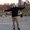Photo of Nick P.