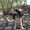 Photo of Shona G.
