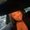 Photo of Sareana F.
