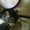 Photo of ChiChi C.