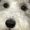 Photo of Nicco T.