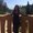 Photo of Armine K.
