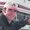 Photo of Bruce M.