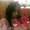 Photo of Kisha C.