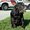 Photo of Darrel D.