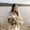 Photo of Desiree F.