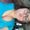 Photo of Briannah R.