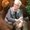 Photo of Naomi R.