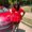 Photo of Cassandra C.