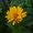 Photo of Qype User (hannim…)