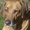 Photo of Qype User (skypin…)