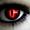 Photo of Vitae T.