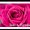 Photo of Rose A. P.