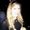 Photo of Rachel M.