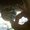 Photo of Karami C.