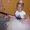 Photo of Andrea C.