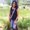 Photo of Nayanjot R.