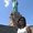 Photo of Clarisse C.