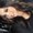 Photo of Celine S.
