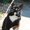 Photo of Moo M.