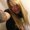 Photo of Cassie B.
