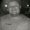 Photo of Brian M.