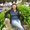 Photo of Xina U.