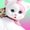 Photo of Kitty S.