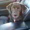 Photo of Gretchen S.