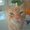 Photo of Keiko S.