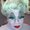 Photo of Mandie M.